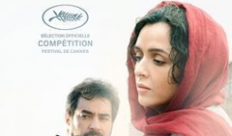 三级久久视频,揭秘网络影视的灰色地带